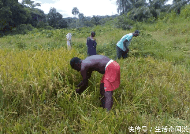 非洲引入人口_非洲饥饿儿童图片