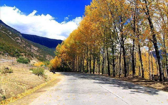 小西Carl■西藏自驾旅游安全告示！为了自己的生命安全，请仔细阅读几点