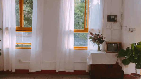 [子衿解语]不要因为一点错，就忘记对方所有的好