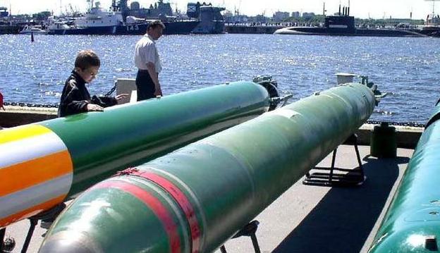 俄罗斯：只需要能击沉航母的武器 ！保卫国家才是唯一任务