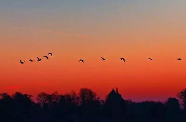 【小碗菜】没有等来的幸运，努力才是硬道理