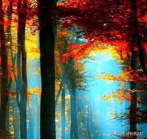 老蒋书房@遇见秋色，醉人红尘