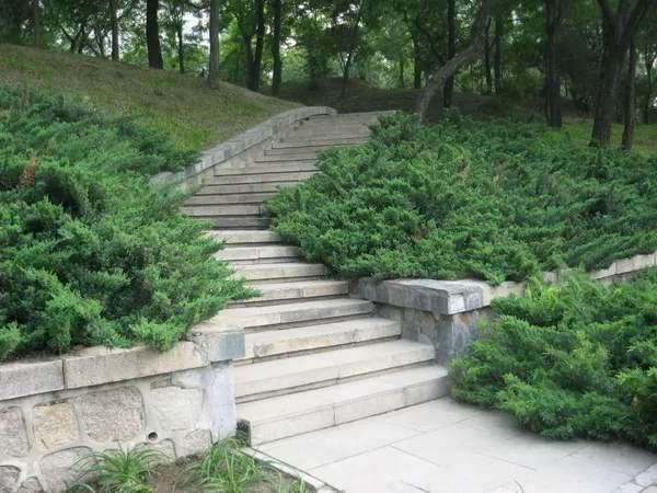 因少修1级台阶被索赔4万多元，公园亏吗