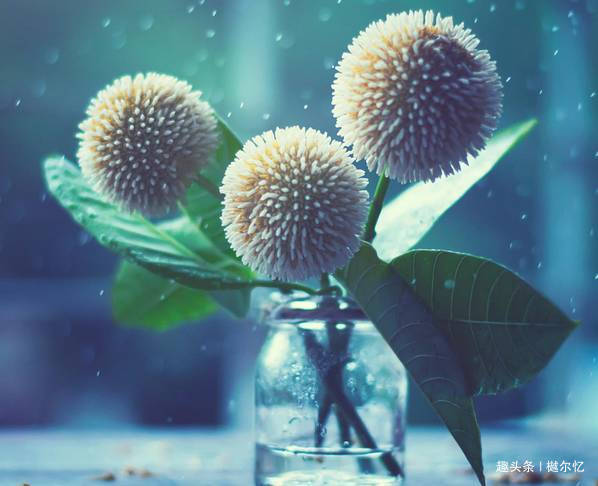 樾尔忆璟@在变老的路上，善待自己！