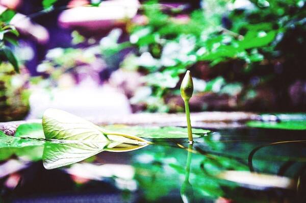 樾尔忆璟@在变老的路上，善待自己！