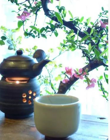 樾尔忆璟@在变老的路上，善待自己！