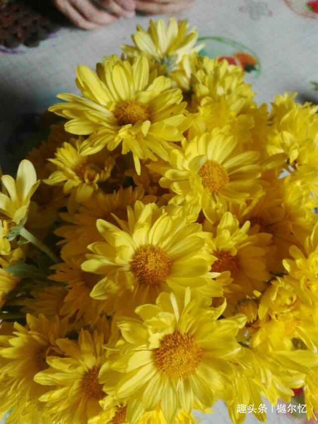 樾尔忆璟@在变老的路上，善待自己！