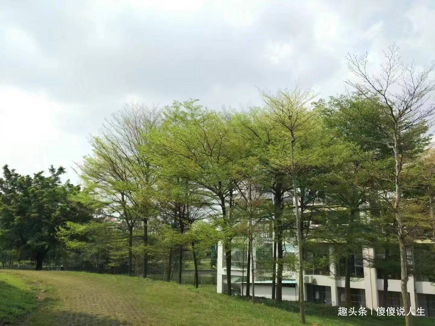 【傻傻说人生】有时痛苦也孕育着希望