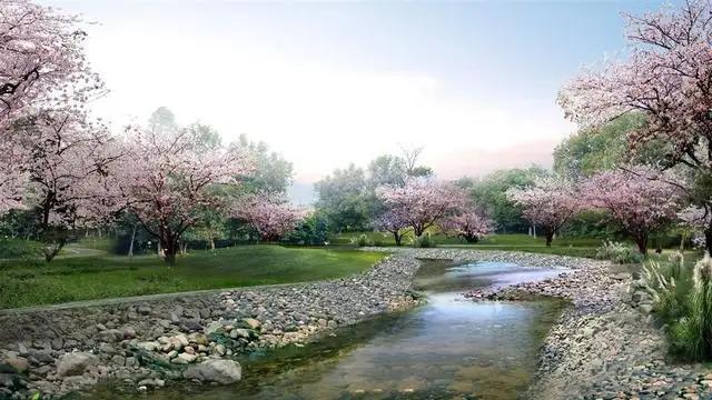 #佳作有约#遇事不顺的时候，那就这样做吧