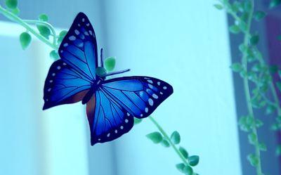 李西峰16@内圣外王，千古不变的人生真理