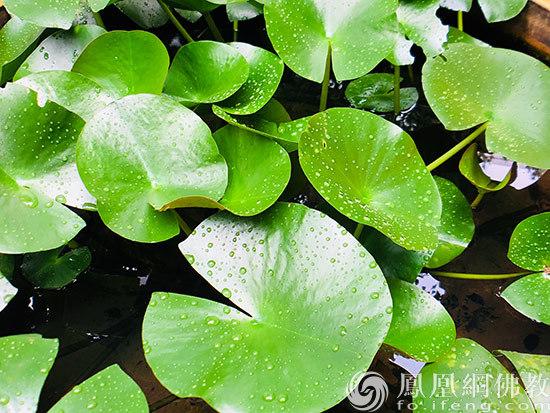 「佳作有约」如果用这种态度与人相处 就会少很多烦恼