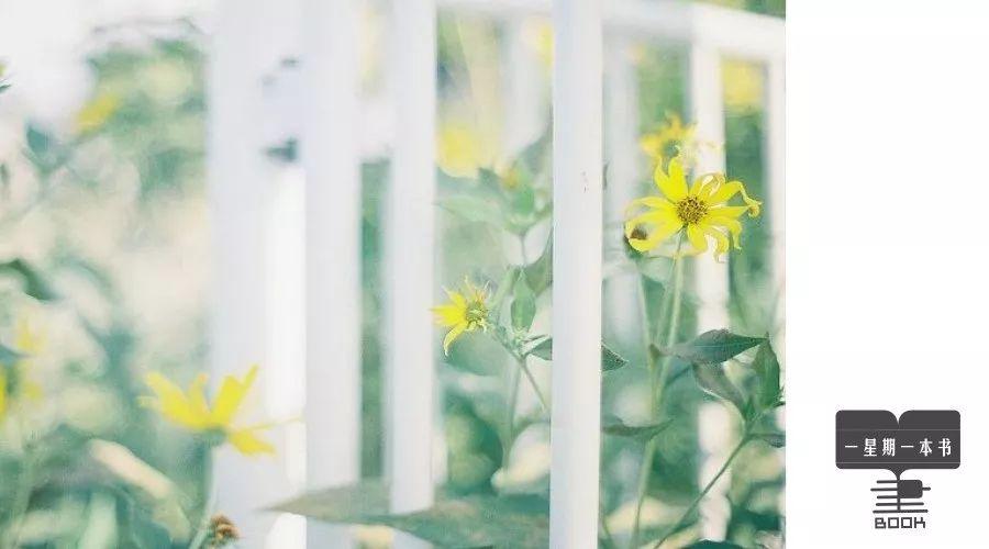 一星期一本书TB@男人想你了，微信上会给你发这5句话，别不懂