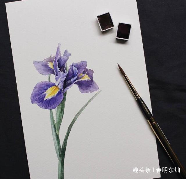 春明东灿■独一无二的个性说说，句句穿心，话糙理不糙！