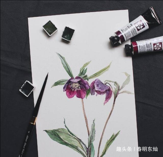 春明东灿■独一无二的个性说说，句句穿心，话糙理不糙！