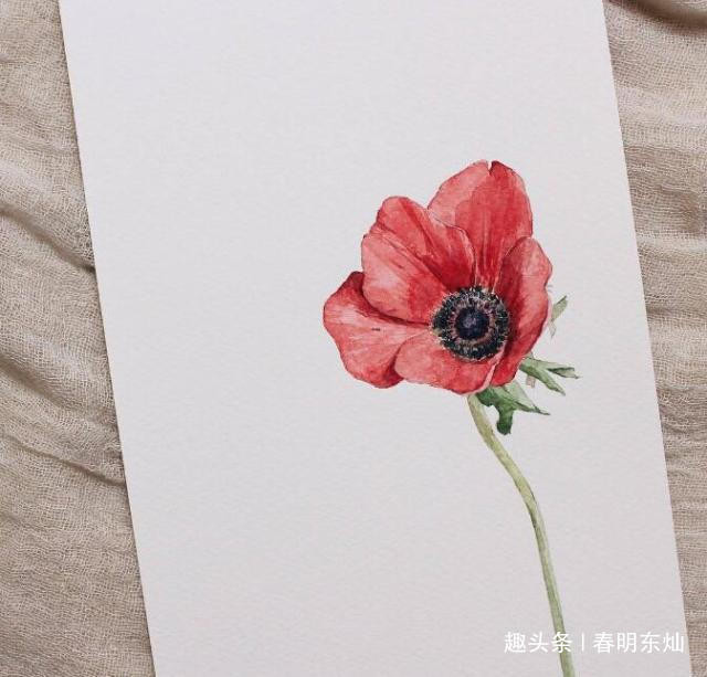 春明东灿■独一无二的个性说说，句句穿心，话糙理不糙！