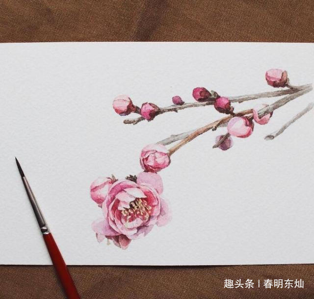 春明东灿■独一无二的个性说说，句句穿心，话糙理不糙！