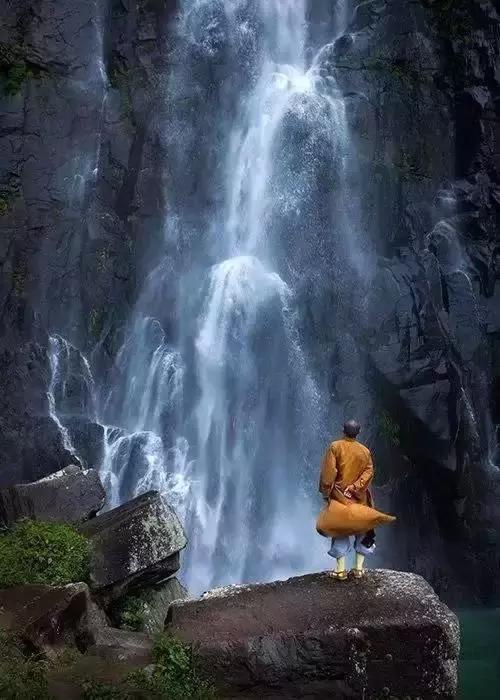 励志司机蕊蕊：云水禅心，淡然最美