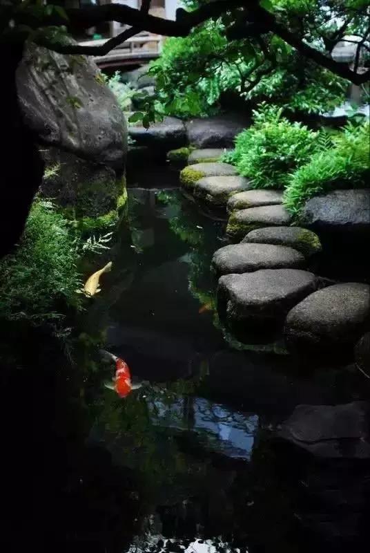 励志司机蕊蕊：云水禅心，淡然最美