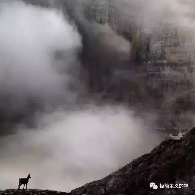 [美文鉴赏]世间无奈，莫过如此