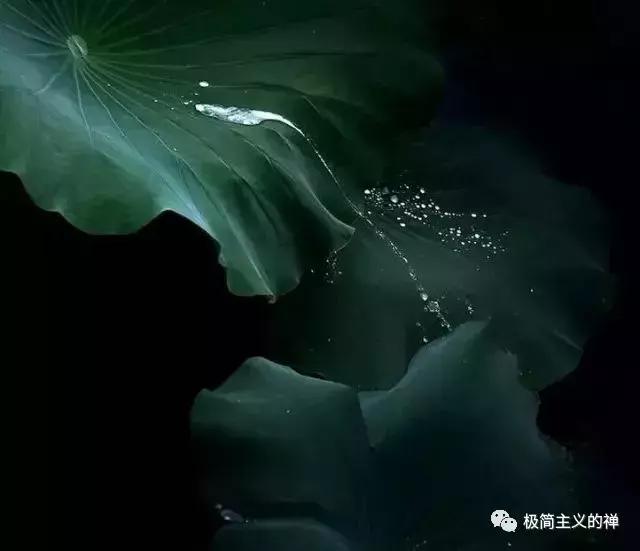 [美文鉴赏]世间无奈，莫过如此