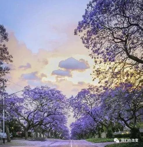 [佳作有约]病了，一个人扛；痛了，一个人藏；街上，一个人逛