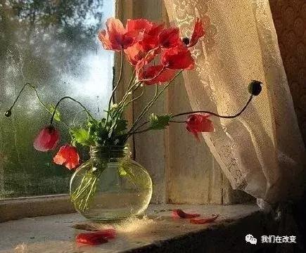 [佳作有约]病了，一个人扛；痛了，一个人藏；街上，一个人逛