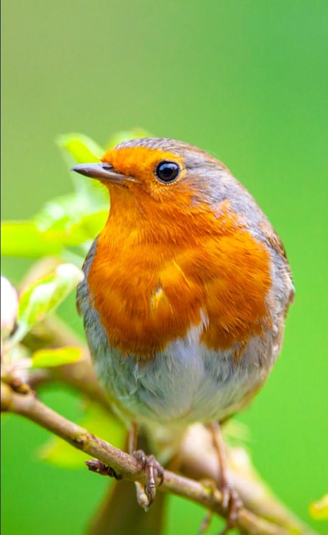 #老蒋书房#心存至善，你的人生必有一块祥云。