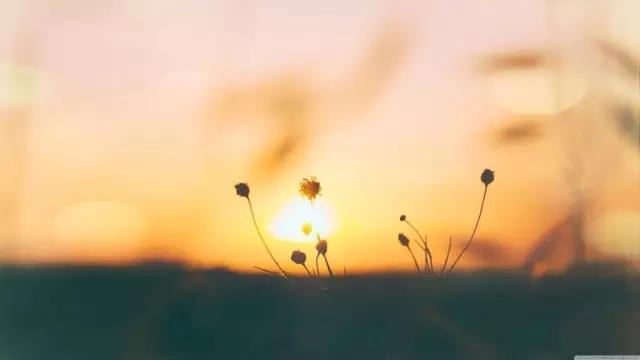 【老蒋书房】过好一个人的日子，才有接纳另一个人的资格