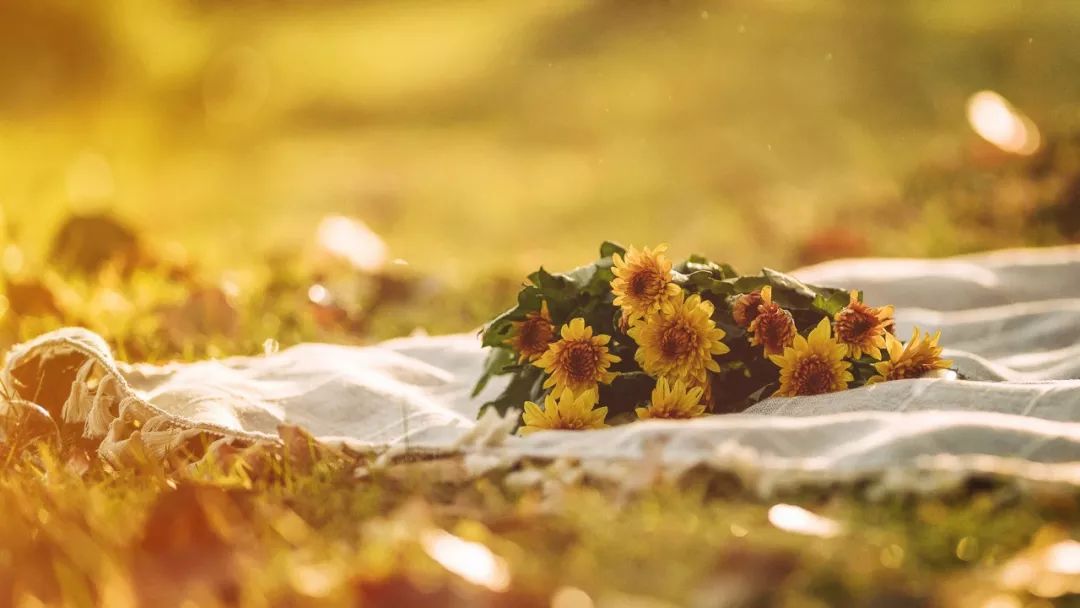 #谢谢说#不喜欢发朋友圈的女人，一般都有这三个性格特点，准！