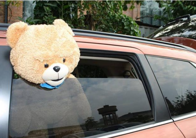 「记忆中的小贱君」为啥老司机开车只开一个车窗？听完分析，网友：高手就是高手