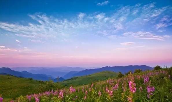 「七喵语」是人，都会累，因为生活和责任。