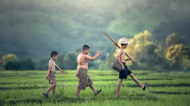 #佳作有约#回归乡村，那才是我想要的生活