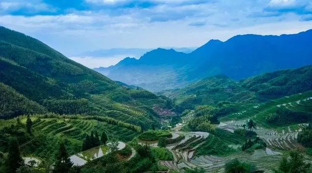 #佳作有约#回归乡村，那才是我想要的生活