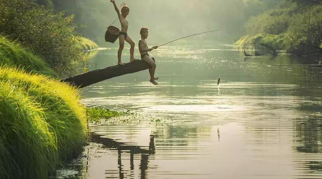 #佳作有约#回归乡村，那才是我想要的生活