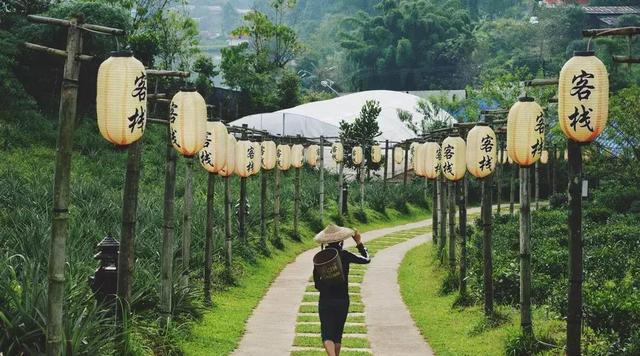 #佳作有约#回归乡村，那才是我想要的生活