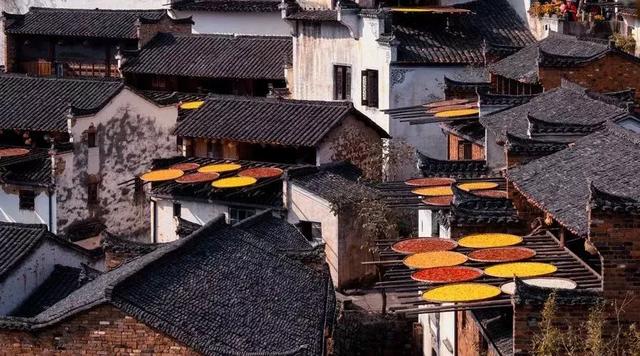 #佳作有约#回归乡村，那才是我想要的生活