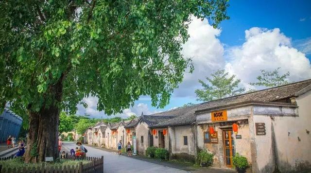 #佳作有约#回归乡村，那才是我想要的生活