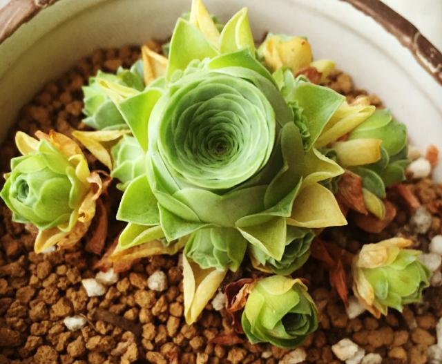 佳作有约■不是所有的心事，都能诉说。