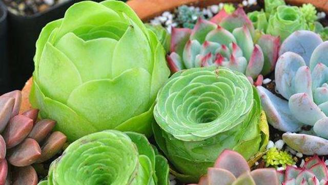 佳作有约■不是所有的心事，都能诉说。