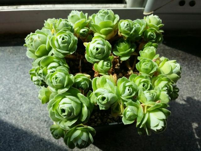 佳作有约■不是所有的心事，都能诉说。