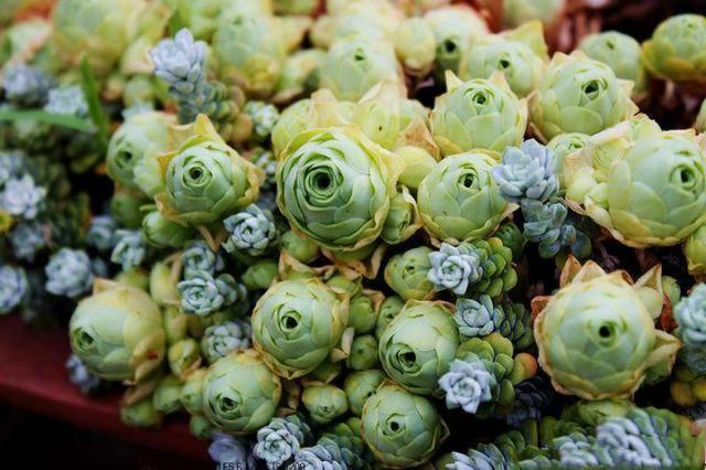 佳作有约■不是所有的心事，都能诉说。