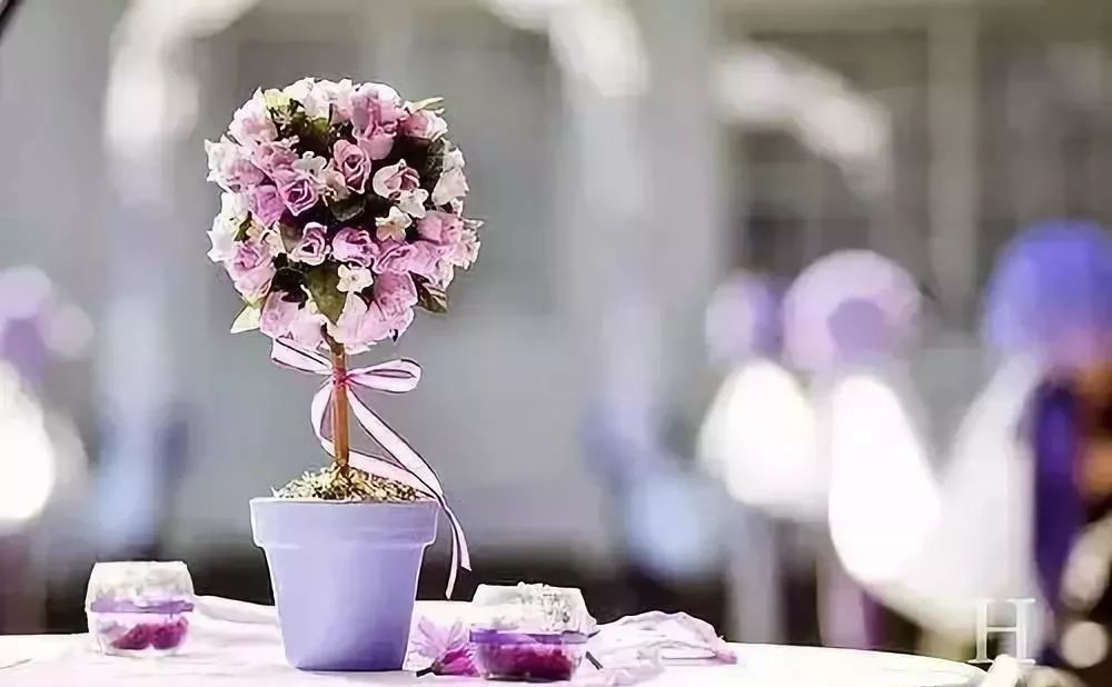 财哥说素食■你的目光所及，就是你的人生境界！