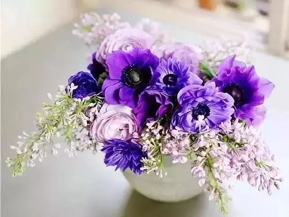 财哥说素食■你的目光所及，就是你的人生境界！