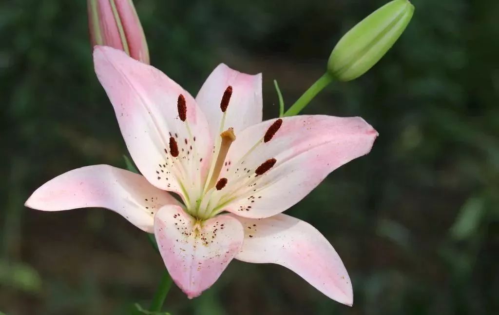 [财哥说素食]人生百味情最浓，蓦然回首淡最真！（好文）