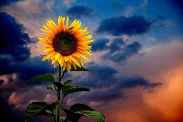 小冉姐姐的夏天：这3个生肖的男人，很会疼老婆，你嫁对了吗？