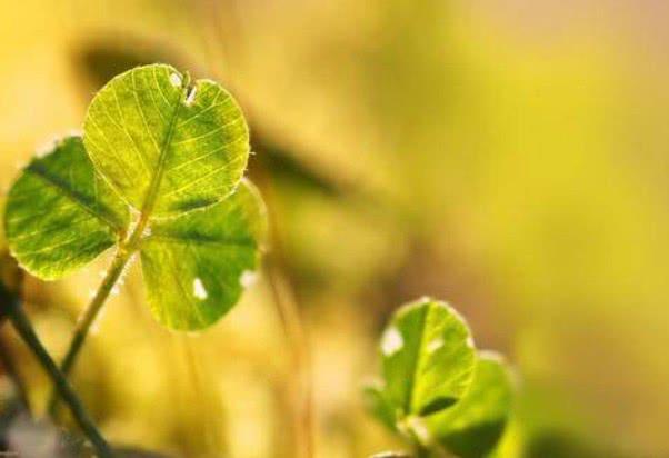 小冉姐姐的夏天：这3个生肖的男人，很会疼老婆，你嫁对了吗？