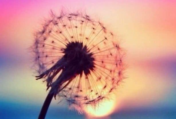 小冉姐姐的夏天：这3个生肖的男人，很会疼老婆，你嫁对了吗？