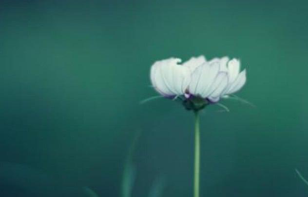 小冉姐姐的夏天：这3个生肖的男人，很会疼老婆，你嫁对了吗？