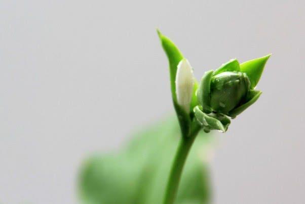 小冉姐姐的夏天：这3个生肖的男人，很会疼老婆，你嫁对了吗？