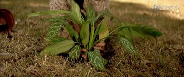 CITYZINE：当能失去的都失去了，就差不多长大了